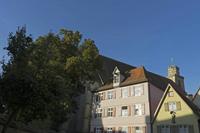 Cjp_2018_09_11_060628.jpg