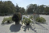 Cjp_2018_09_21_113630.jpg