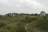 Cjp_2018_09_22_060750.jpg