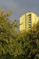 Cjp_2018_10_04_052129.jpg