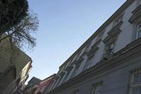Cjp_2018_10_12_124428.jpg
