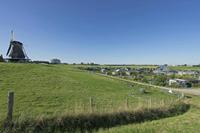 Cjp_2019_09_21_083314.jpg