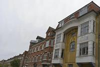 Cjp_2019_10_01_062046.jpg