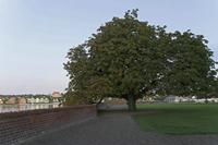 Cjp_2019_10_07_053246.jpg