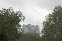Cjp_2019_10_09_133722.jpg