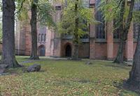 Cjp_2019_10_10_143520.jpg