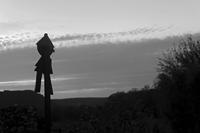 Cjp_2019_10_13_165542_NB.jpg