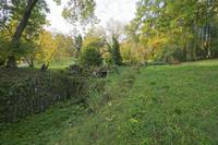 Cjp_2019_10_14_065118.jpg