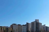 Cjp_2022_03_21_092834.jpg