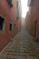 Cjp_2022_03_31_134656.jpg