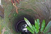 Cjp_2022_04_09_151638.jpg