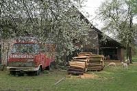 Cjp_2022_04_09_152546.jpg