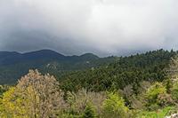 Cjp_2022_05_03_115418.jpg