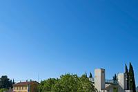 Cjp_2022_05_18_070532.jpg