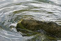 Cjp_2022_05_22_124718_2.jpg