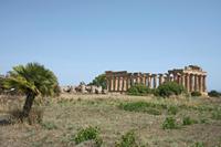Cjp_2022_06_05_130946.jpg