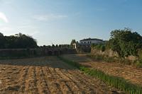 Cjp_2022_06_14_050502.jpg