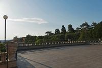 Cjp_2022_06_16_052146.jpg