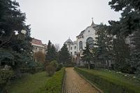 Cjp_2022_12_03_073108.jpg
