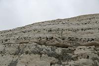 Cjp_2023_03_09_143858.jpg