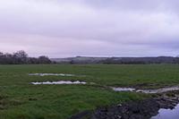 Cjp_2023_03_10_070954.jpg