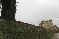 Cjp_2023_03_10_075224.jpg