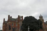 Cjp_2023_03_10_135026.jpg