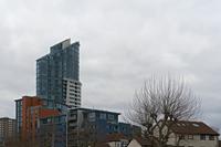 Cjp_2023_03_10_145518.jpg