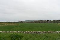 Cjp_2023_04_29_133102.jpg