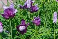 Cjp_2023_05_22_104558_1.jpg