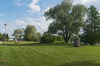 Cjp_2023_06_24_054940.jpg