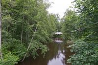 Cjp_2023_07_02_054334.jpg