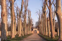 Cjp_2005_01_26_171354 (1).jpg