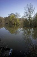 Cjp_2012_03_23_075148.jpg