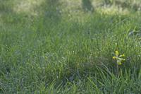 Cjp_2012_03_30_074436.jpg