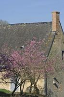 Cjp_2012_03_30_084156.jpg