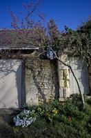 Cjp_2012_04_01_071648.jpg