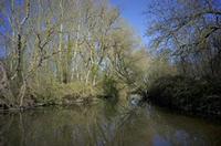 Cjp_2012_04_01_075948.jpg