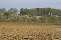 Cjp_2012_04_01_085056.jpg