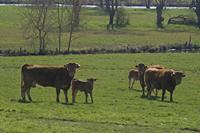 Cjp_2012_04_01_094856.jpg