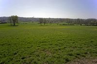 Cjp_2012_04_01_100640.jpg