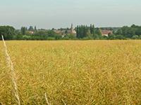 Cjp_2005_06_28_103415 (1).jpg