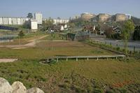 Cjp_2007_03_27_102840 (2).jpg