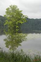 Cjp_2008_06_01_100919.jpg