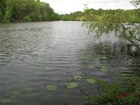 Cjp_2009_04_25_100738.JPG