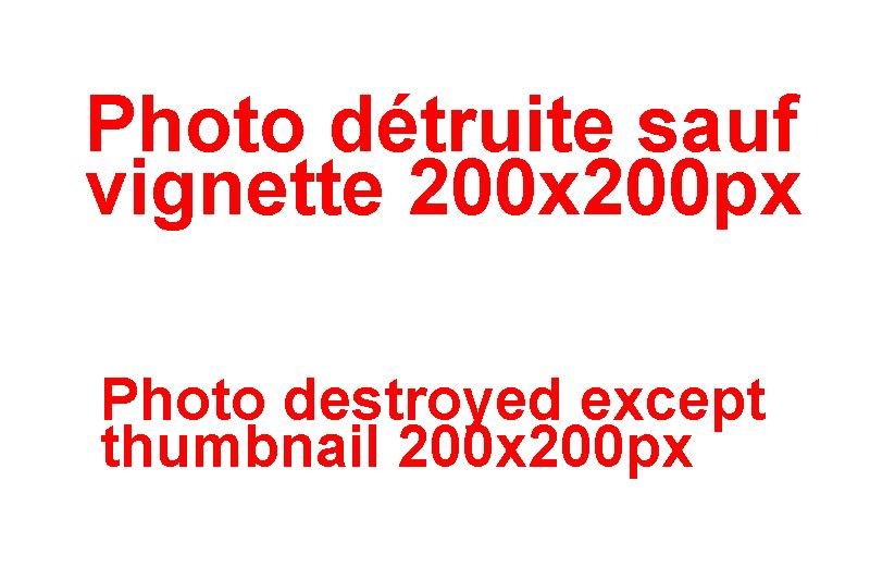 Photo_detruite.jpg